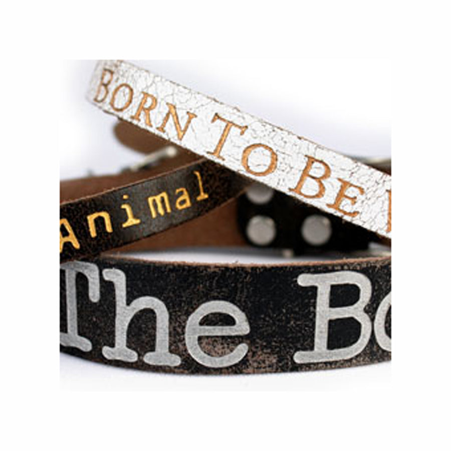 Bite Me Dog Collar