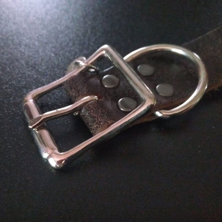 Bad to the Bone Dog Collar