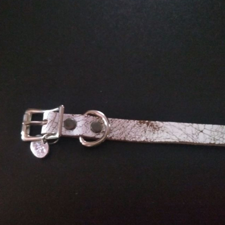 Bite Me Dog Collar