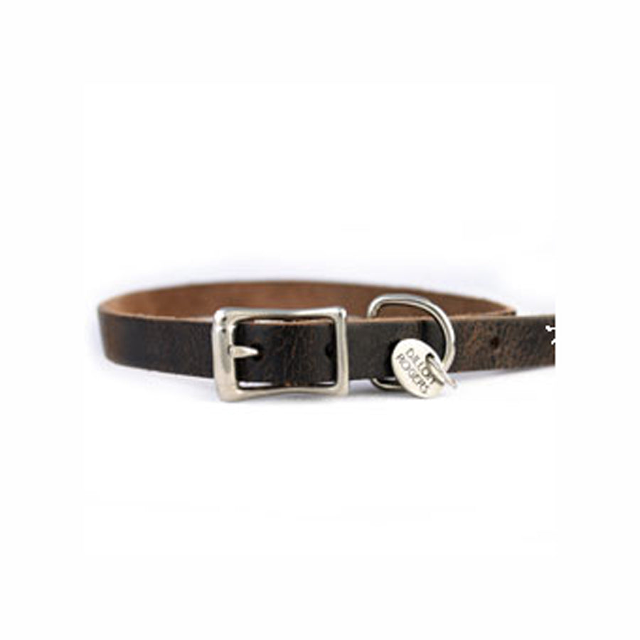 Bad to the Bone Dog Collar