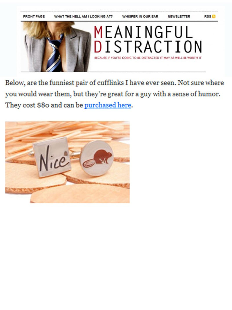 Meaningful Distraction<br>Feb. 2008