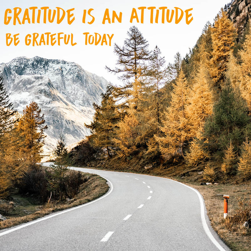 Gratitude is an Attitude - Be Thankful Today